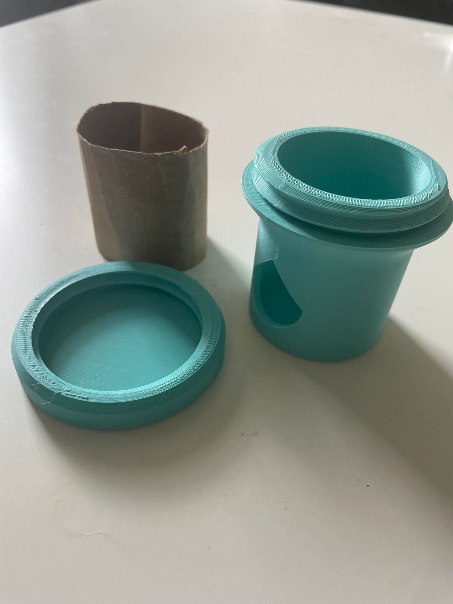 Small Animal Foraging Toy - Reuse Toilet  Paper Rolls (2 Pack)