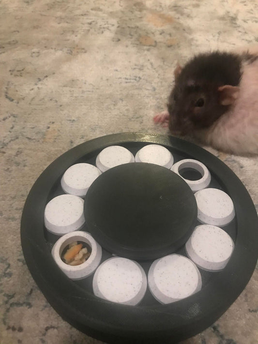 Small Pet Safe Foraging Wheel