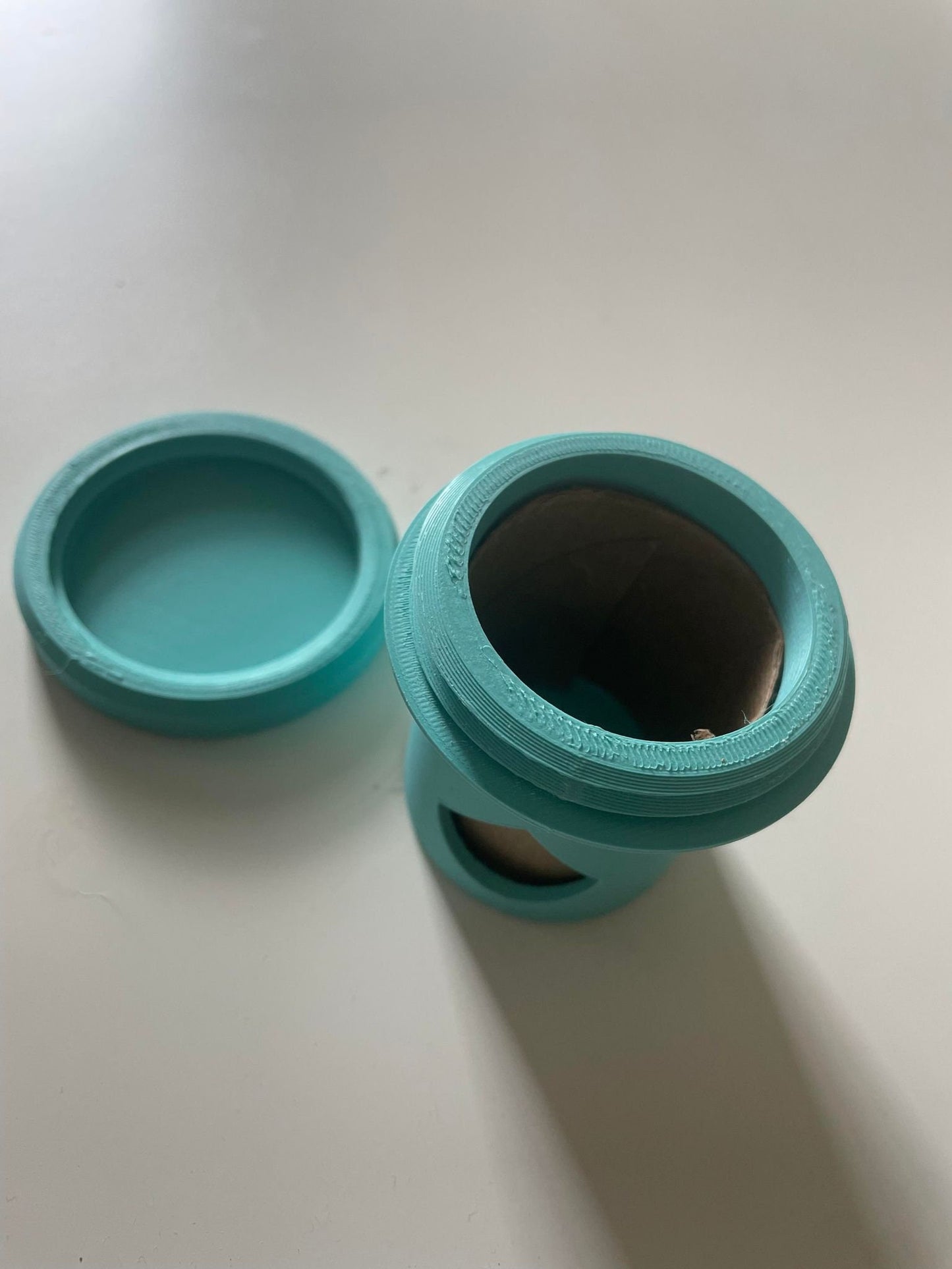 Small Animal Foraging Toy - Reuse Toilet  Paper Rolls (2 Pack)